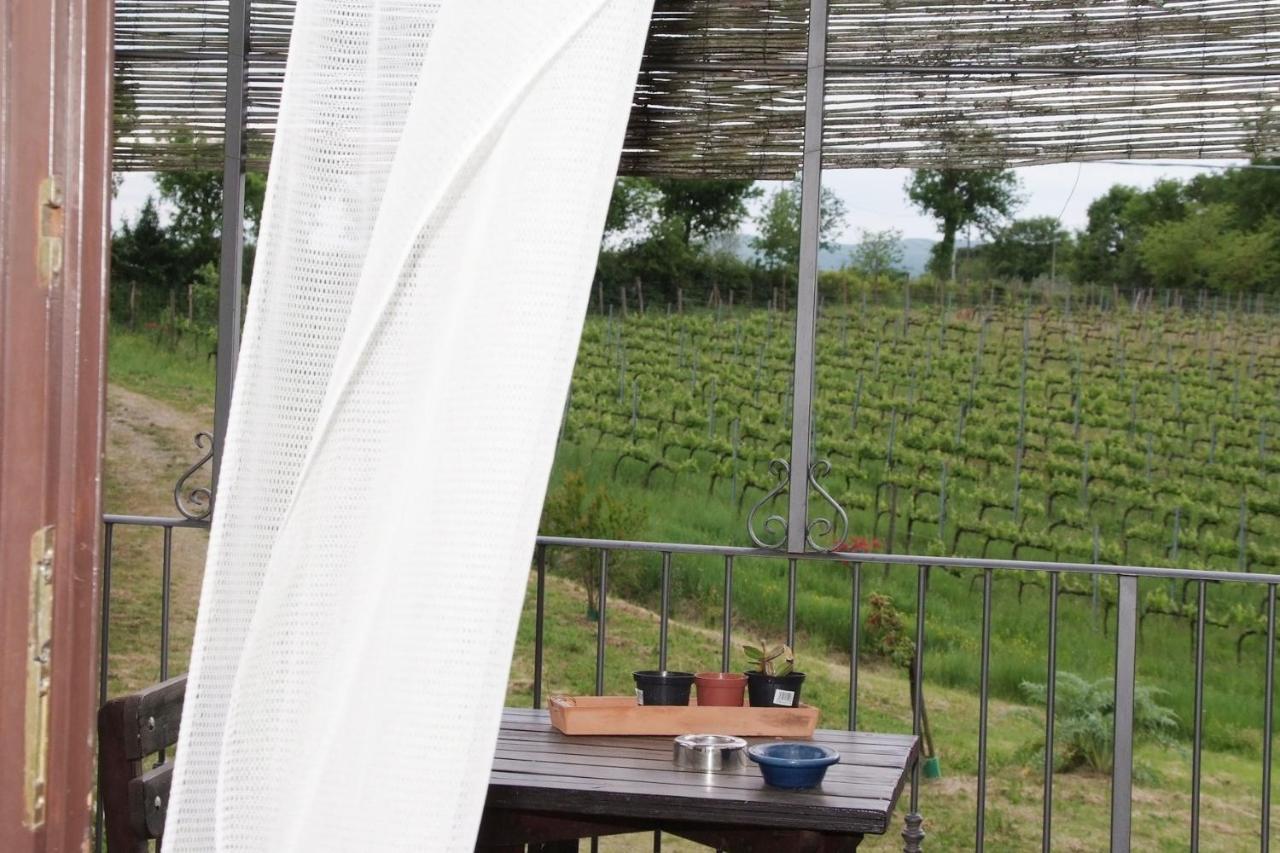 Willa Il Pino Bioagricoltura Terranuova Bracciolini Zewnętrze zdjęcie